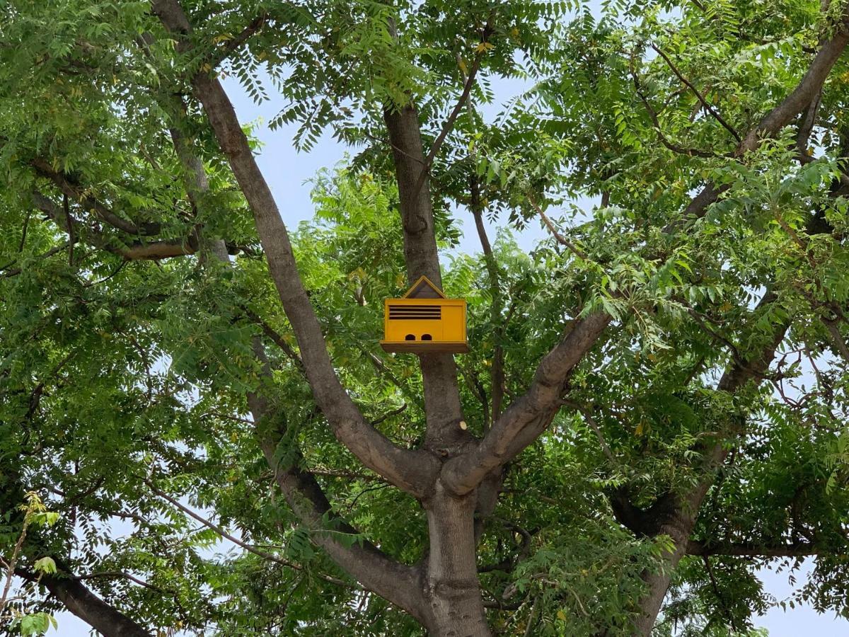 Nature Resort Agra  Esterno foto